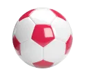 Sports Betting